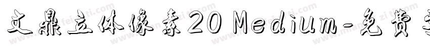 文鼎立体像素20 Medium字体转换